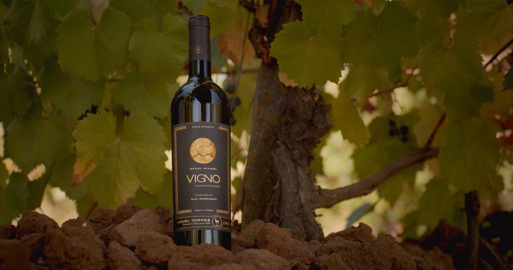 VIGNO de Familia Torres en Chile entre los tres vinos chilenos destacados por los Top 100 de Wine Spectator